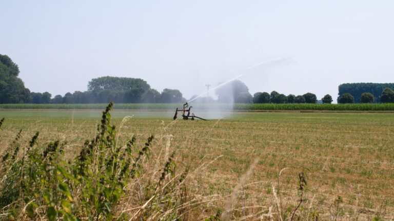 Entwicklung eines Wassermengenkonzeptes