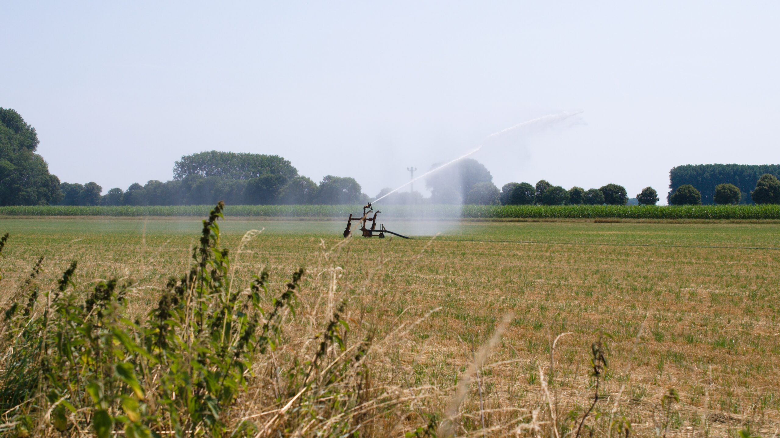 Landwirtschaftliche Beregnungsanlage auf dem Feld