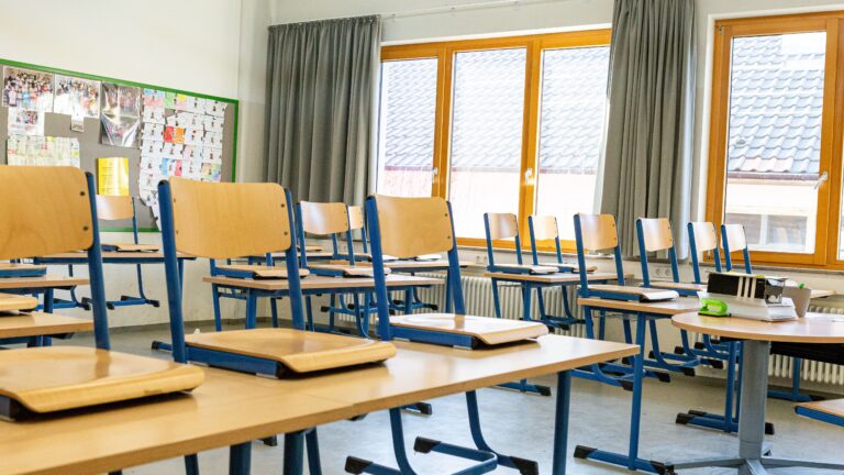 GRÜNE unterstützen sechstes Dezernat angesichts wachsender Herausforderungen im Schulbereich