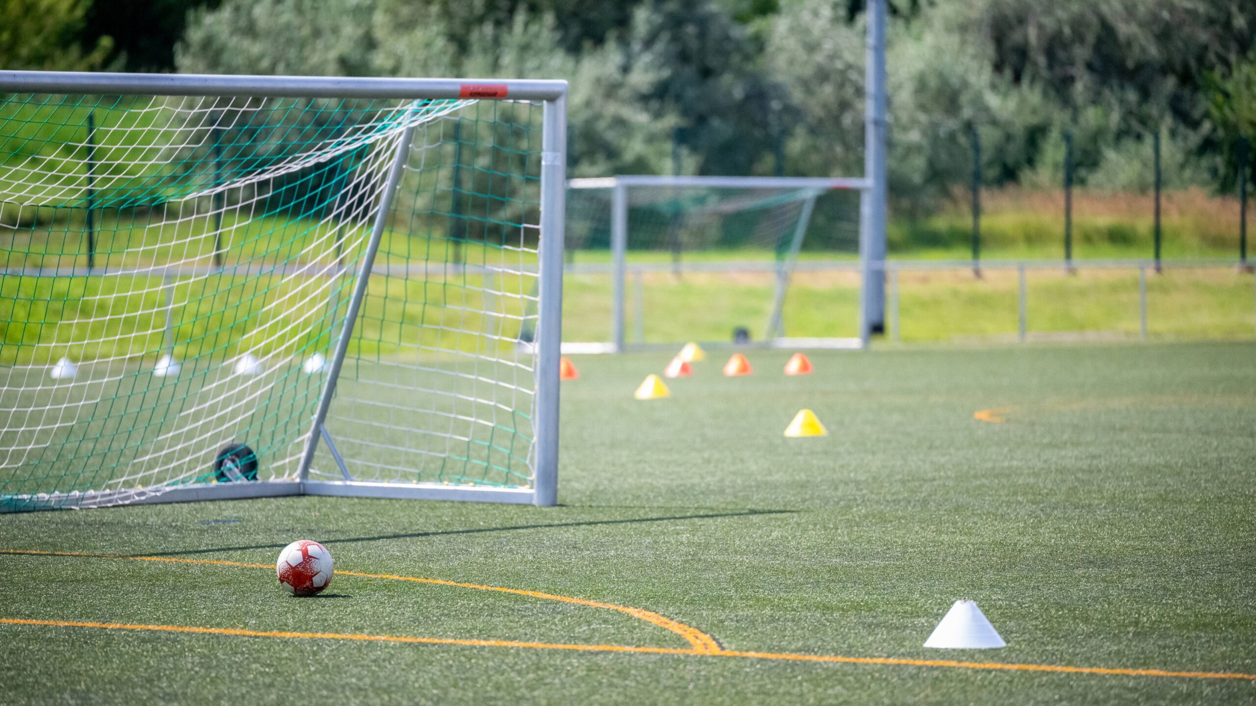 Kunstrasen Fußballplatz mit Toren Markierungshütchen und Ball